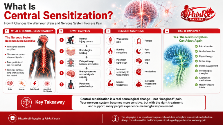 Medical infographic explaining central sensitization and how it changes pain perception. Features the brain, spinal cord, nerves, amplified pain signals, a five-step diagram of central sensitization development, common symptoms such as widespread pain, fatigue, brain fog, headaches, and burning sensations, plus treatment strategies including physiotherapy, exercise, pain education, stress management, and healthy lifestyle habits. Branded with the PainRx Canada logo.